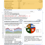 Datos principales de la factura eléctrica